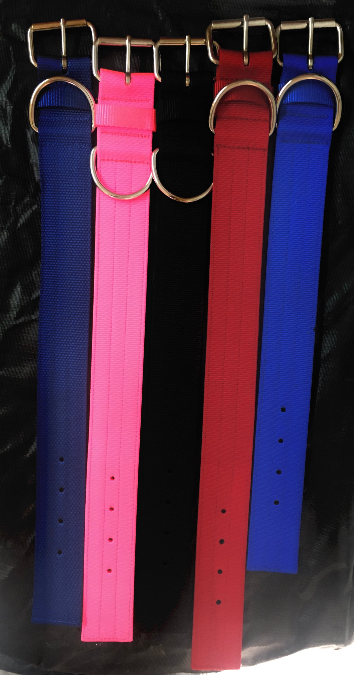 3 ply 2" wide Nylon Collar