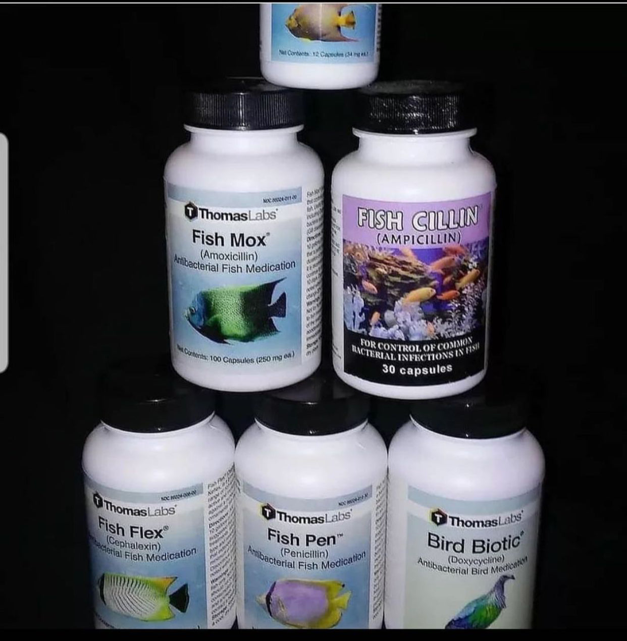 GTDS Fish Oil