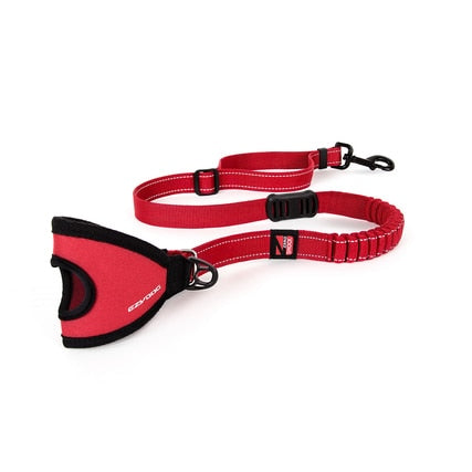 HANDY™ LEASH