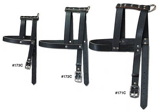 Large Leather Harness 1"