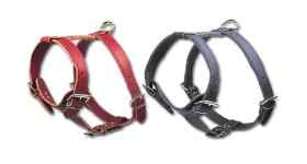 2 ply Leather Harness