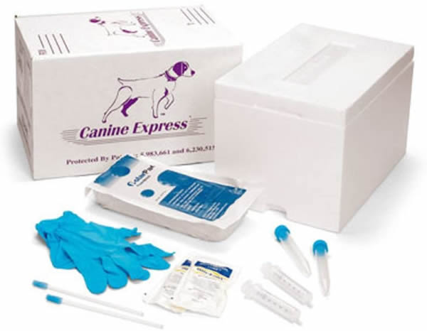 Canine express shipping box sale