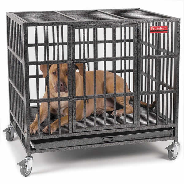 Dog Cage
