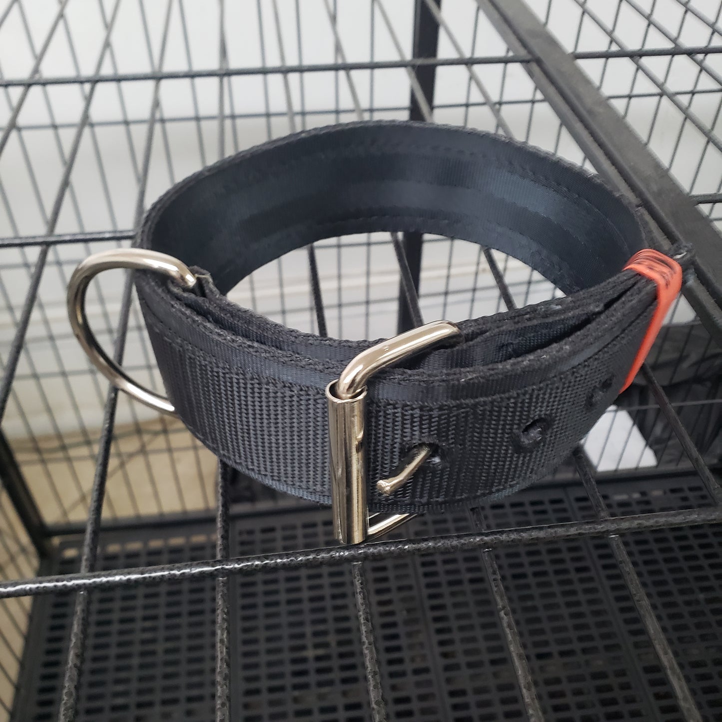 4 Ply Seat Belt and 1 Ply nylon Collar