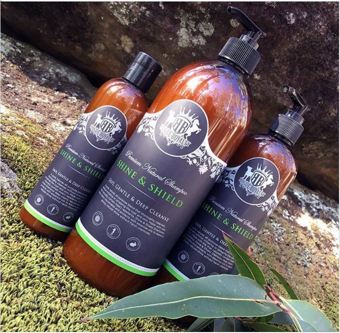 SHINE & SHIELD Natural Dog Shampoo