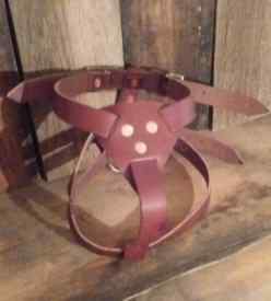 Leather Harness