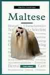 Maltese