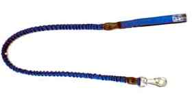 Power Leash