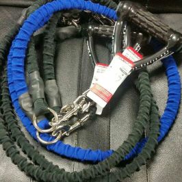 Power Leash