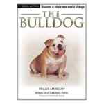 The Bulldog