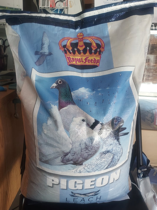 LEACH PIGEON FEED
