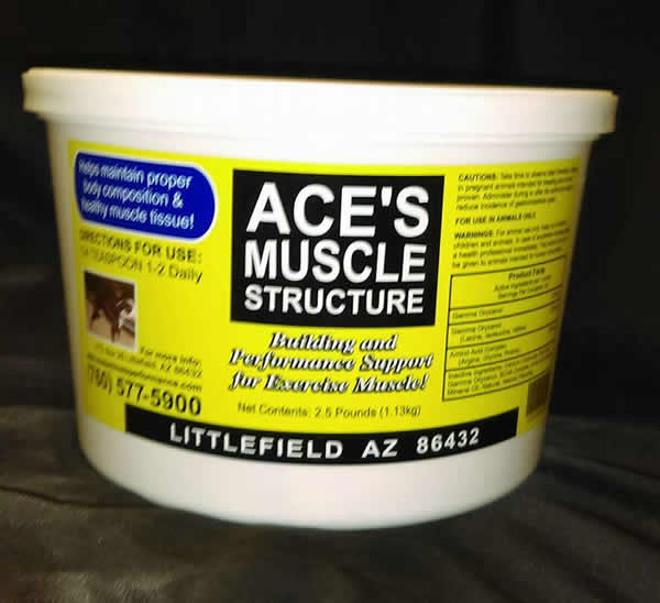 Aces's Muscle Structure (Powder)