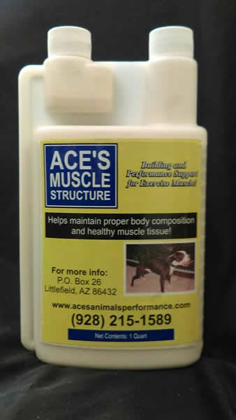 Aces's Muscle Structure (liquid)
