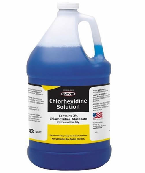 Chlorhexidine Solution gallon