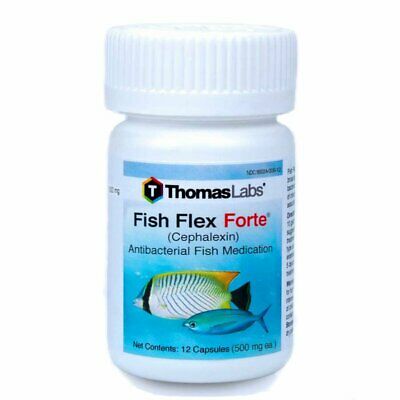 Fish Mox  250mg, 30ct