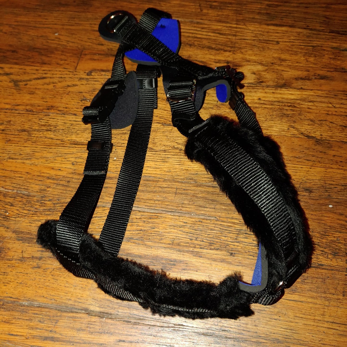 Walking Harness