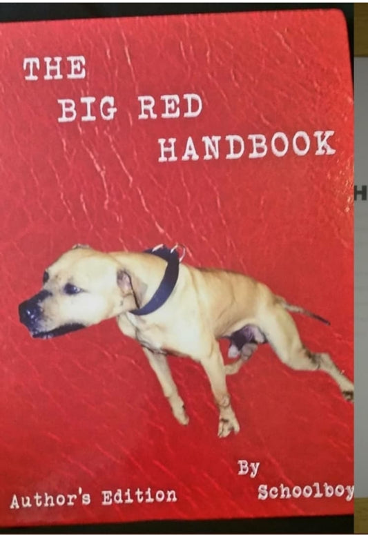 The Big Red Handbook By Schoolboy