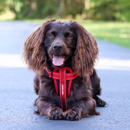 CHEST PLATE™ DOG HARNESS