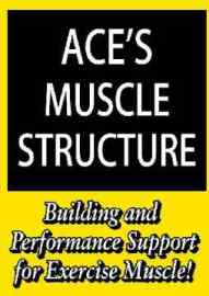 Aces's Muscle Structure (Powder)