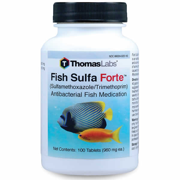 Fish Sulfa Forte  960mg 60 count