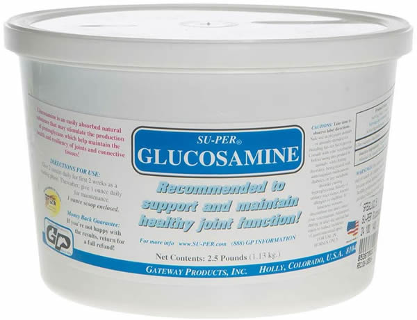 GP GLUCOSAMINE