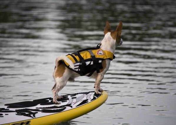 MICRO DFD™ LIFE JACKET